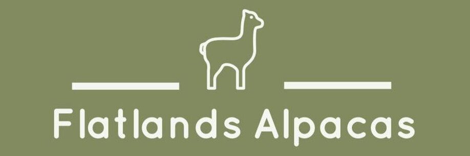 Flatlands Alpacas