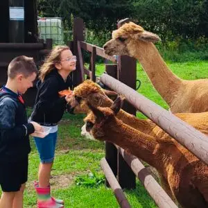 Summer Holiday Picnic and Play
